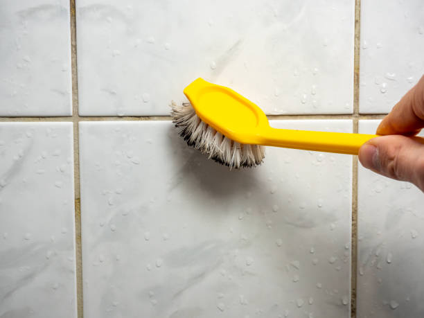 Best Toxic Mold Removal  in Columbus, NC