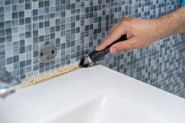 Best Residential Mold Removal  in Columbus, NC