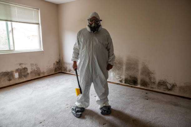 Best Office Mold Removal Services  in Columbus, NC